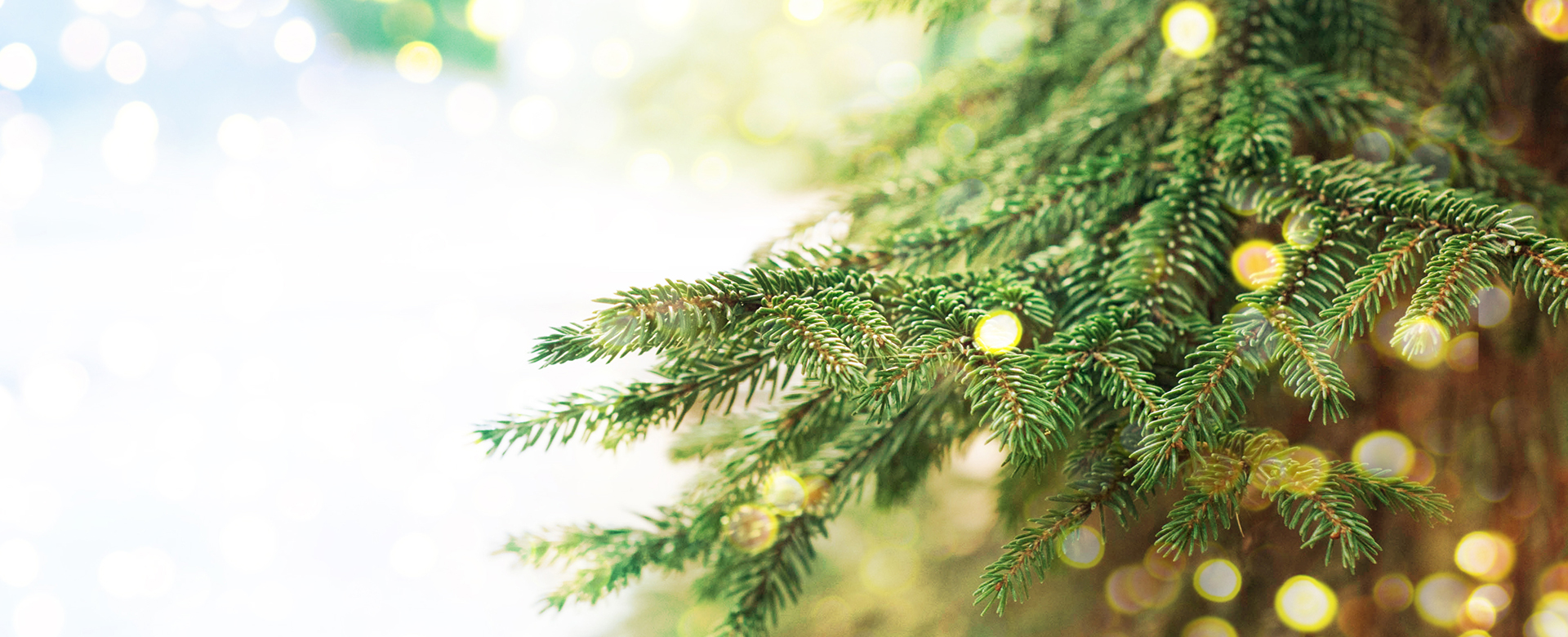Christmas Parties in Surrey at Guildford Manor Hotel_