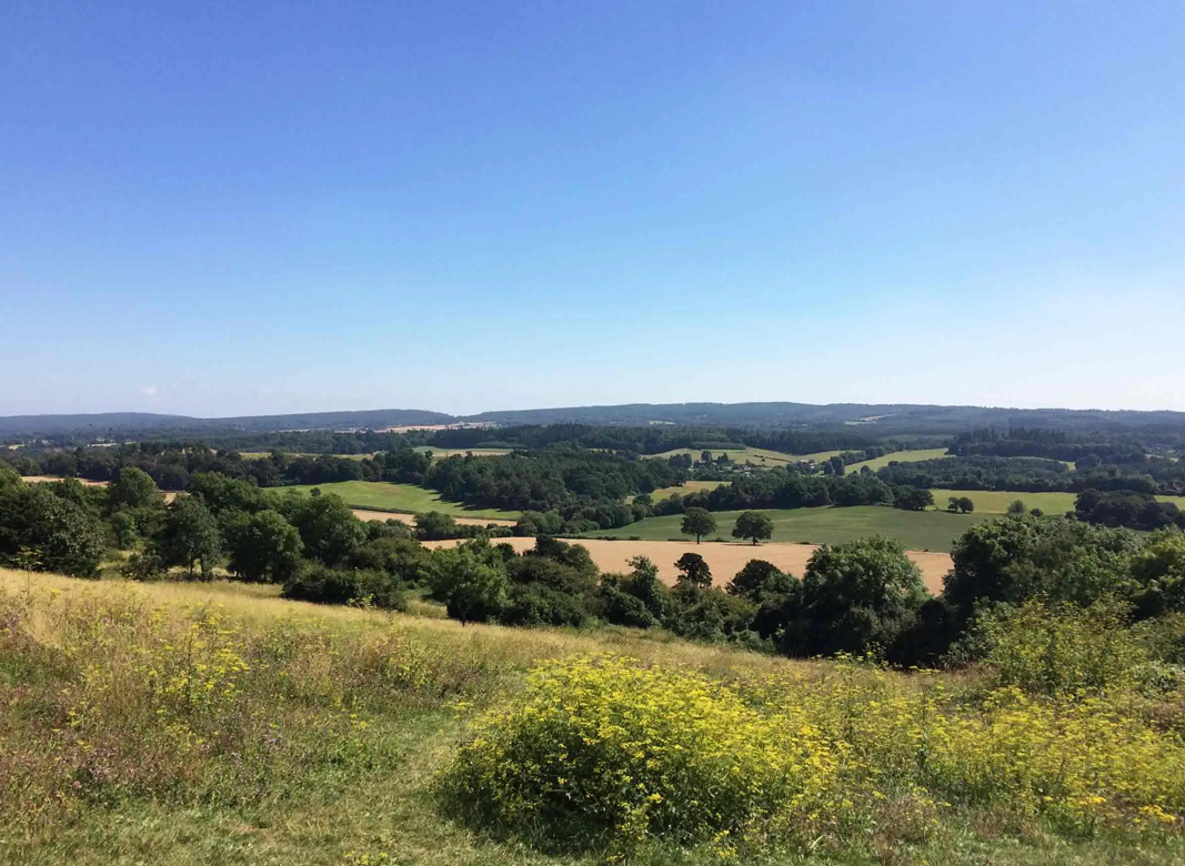 Guildford Manor Hotel – The Best Of Surrey On Your Doorstep