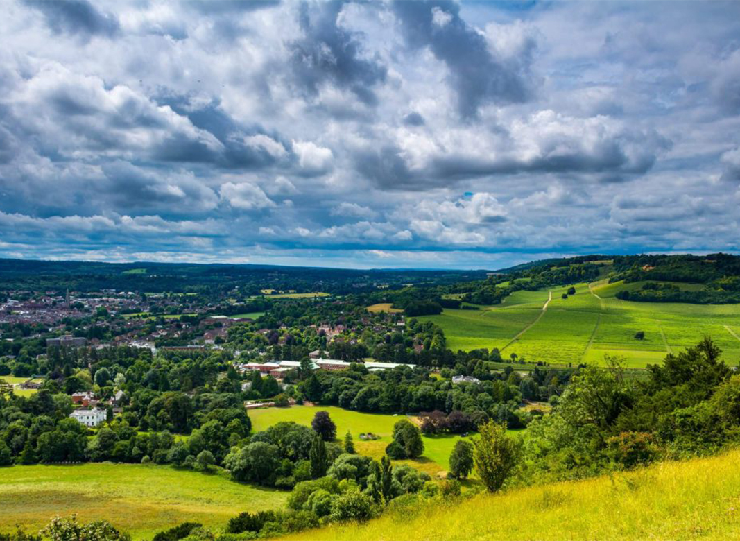 The Best Of Surrey On Your Doorstep