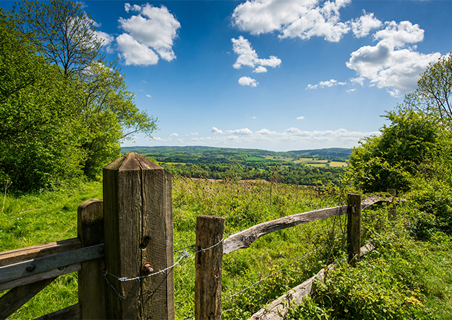 Things to Do Near Guildford Manor – Explore Surrey Hills & Beyond