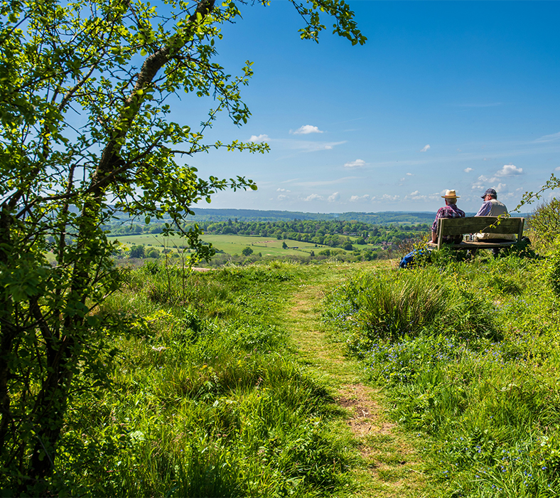 Things to Do in Guildford – Walks & Views across the North Downs, Surrey