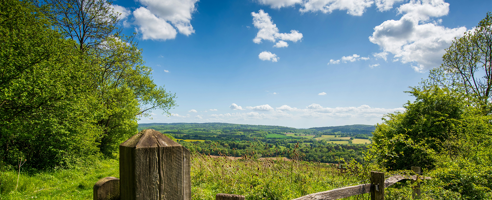 Things to Do in Guildford and Surrey Hills at Guildford Manor Hotel