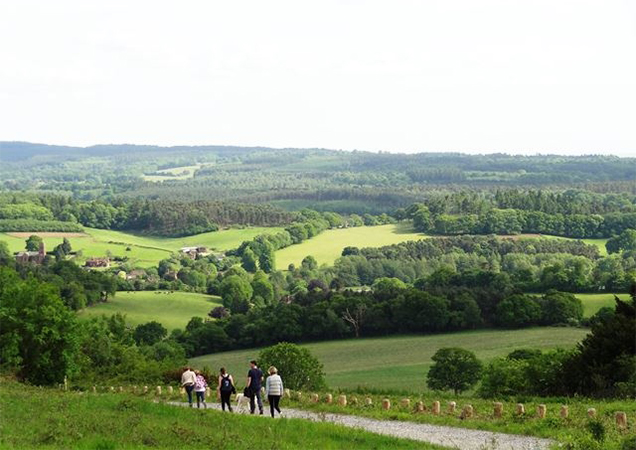 Things to Do in Guildford – Outdoors & Nature