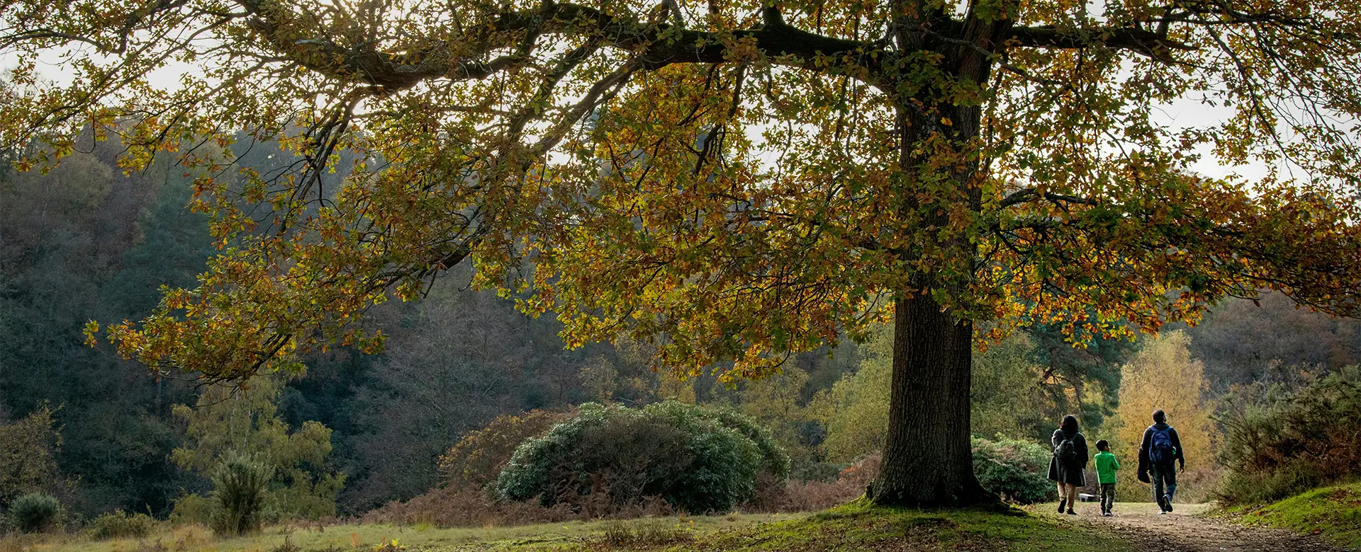 Walkers on the Surrey Hills